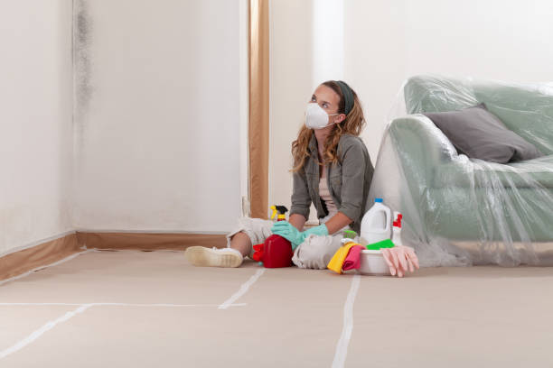 Reliable Basement Mold Remediation contractor in Columbia, TN by WQB Mold Removal